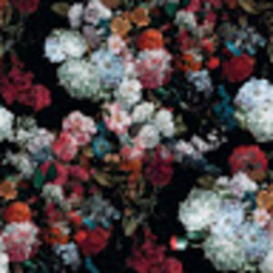 Meet your Posher, Talia